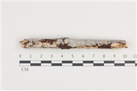 登錄號:F0036260藏品圖，第1張