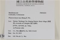 登錄號:F0036261藏品圖，第2張