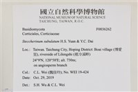 登錄號:F0036262藏品圖，第2張