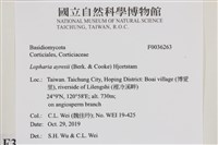 登錄號:F0036263藏品圖，第2張