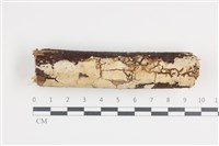 登錄號:F0036263藏品圖，第1張