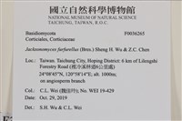 登錄號:F0036265藏品圖，第2張