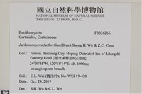 登錄號:F0036266藏品圖，第2張