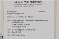 煙管菌藏品圖，第2張