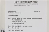 登錄號:F0036270藏品圖，第2張