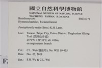 登錄號:F0036271藏品圖，第2張