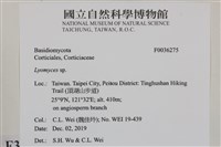 登錄號:F0036275藏品圖，第2張