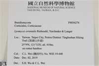 登錄號:F0036276藏品圖，第2張