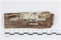 登錄號:F0036276藏品圖，第1張