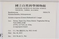 登錄號:F0036278藏品圖，第2張