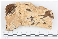 登錄號:F0036278藏品圖，第1張
