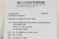 登錄號:F0036279藏品圖，第2張