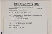 登錄號:F0036280藏品圖，第2張