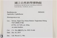 登錄號:F0036281藏品圖，第2張