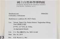 登錄號:F0036282藏品圖，第2張