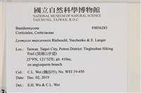 登錄號:F0036283藏品圖，第2張