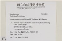 登錄號:F0036284藏品圖，第2張