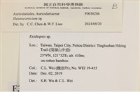 登錄號:F0036286藏品圖，第2張