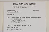 登錄號:F0036286藏品圖，第3張