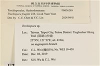 登錄號:F0036289藏品圖，第2張