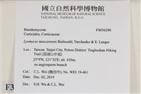 登錄號:F0036290藏品圖，第2張