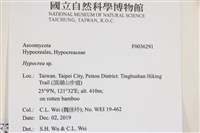 登錄號:F0036291藏品圖，第2張