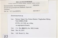 登錄號:F0036292藏品圖，第2張