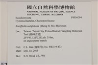 登錄號:F0036294藏品圖，第2張