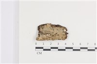 登錄號:F0036294藏品圖，第1張