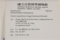 登錄號:F0036295藏品圖，第2張