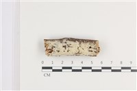 登錄號:F0036297藏品圖，第1張