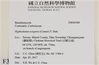 登錄號:F0036300藏品圖，第2張