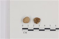登錄號:F0036301藏品圖，第1張
