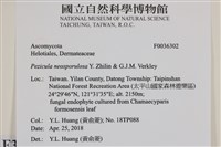 登錄號:F0036302藏品圖，第2張
