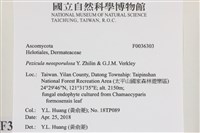 登錄號:F0036303藏品圖，第2張