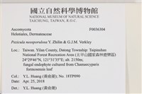 登錄號:F0036304藏品圖，第2張