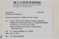 登錄號:F0036305藏品圖，第2張