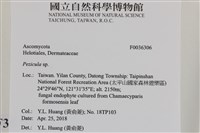 登錄號:F0036306藏品圖，第2張