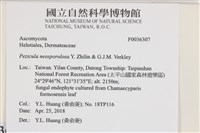 登錄號:F0036307藏品圖，第2張