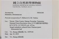 登錄號:F0036308藏品圖，第2張