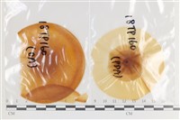 登錄號:F0036308藏品圖，第1張