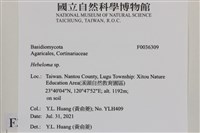 登錄號:F0036309藏品圖，第2張
