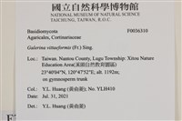 登錄號:F0036310藏品圖，第2張