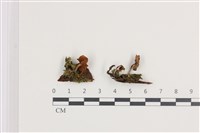 登錄號:F0036310藏品圖，第1張