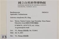 登錄號:F0036311藏品圖，第2張