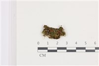 登錄號:F0036311藏品圖，第1張