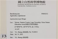 登錄號:F0036312藏品圖，第2張