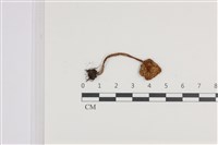 登錄號:F0036312藏品圖，第3張