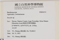 登錄號:F0036313藏品圖，第2張