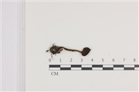登錄號:F0036313藏品圖，第1張